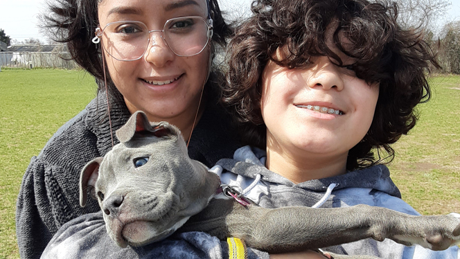 Two children holding a puppy. Two children holding a puppy.