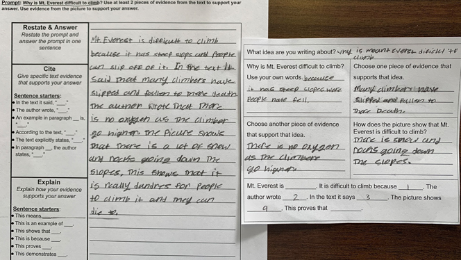 student worksheet