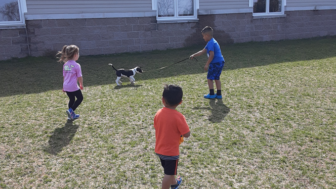 Students walking a puppy outside. Students walking a puppy outside.