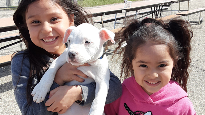 Children holding puppies. Children holding puppies.