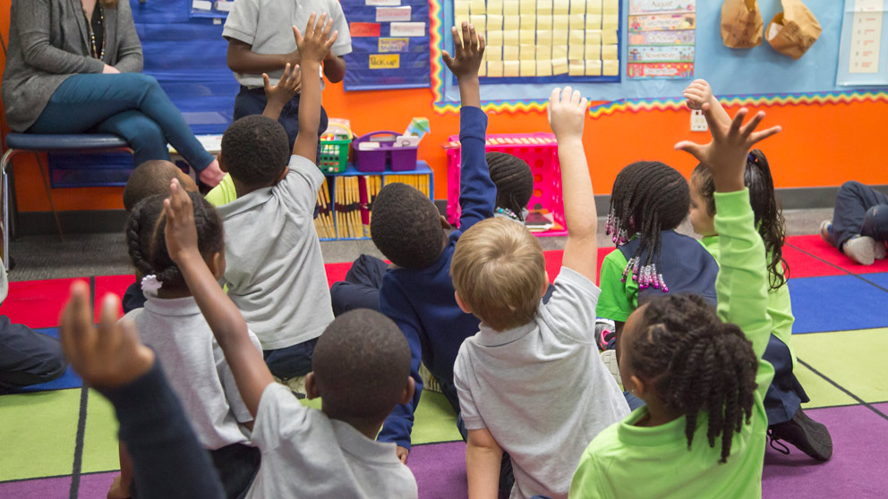 Students raising hands in class